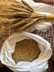 Karakılçık Esmer Bulgur