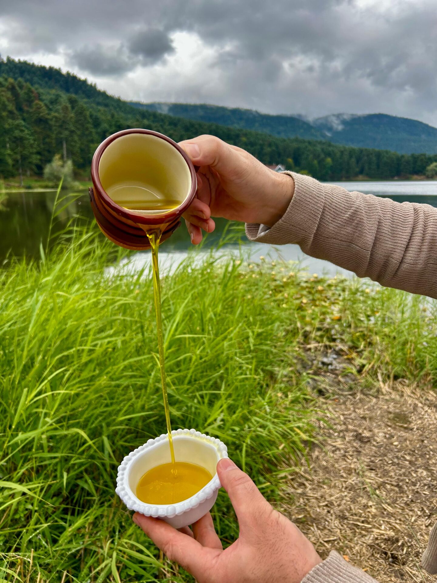 Sarıulak Erken Hasat Zeytinyağı (1 litre)