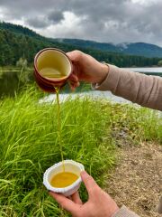 Sarıulak Erken Hasat Zeytinyağı (1 litre)