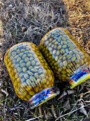 El Kırması Sarıulak Zeytin 5 lt Bidon